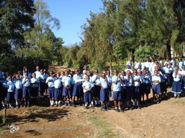 batch_Damaida (1)